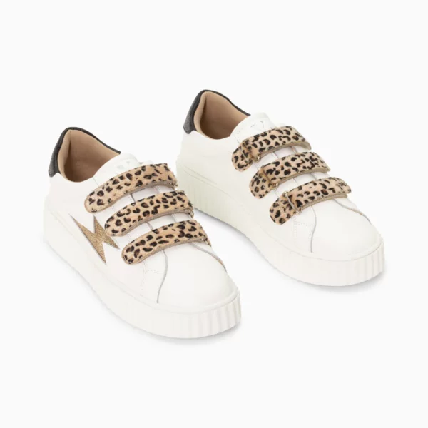 BK2229LP_02