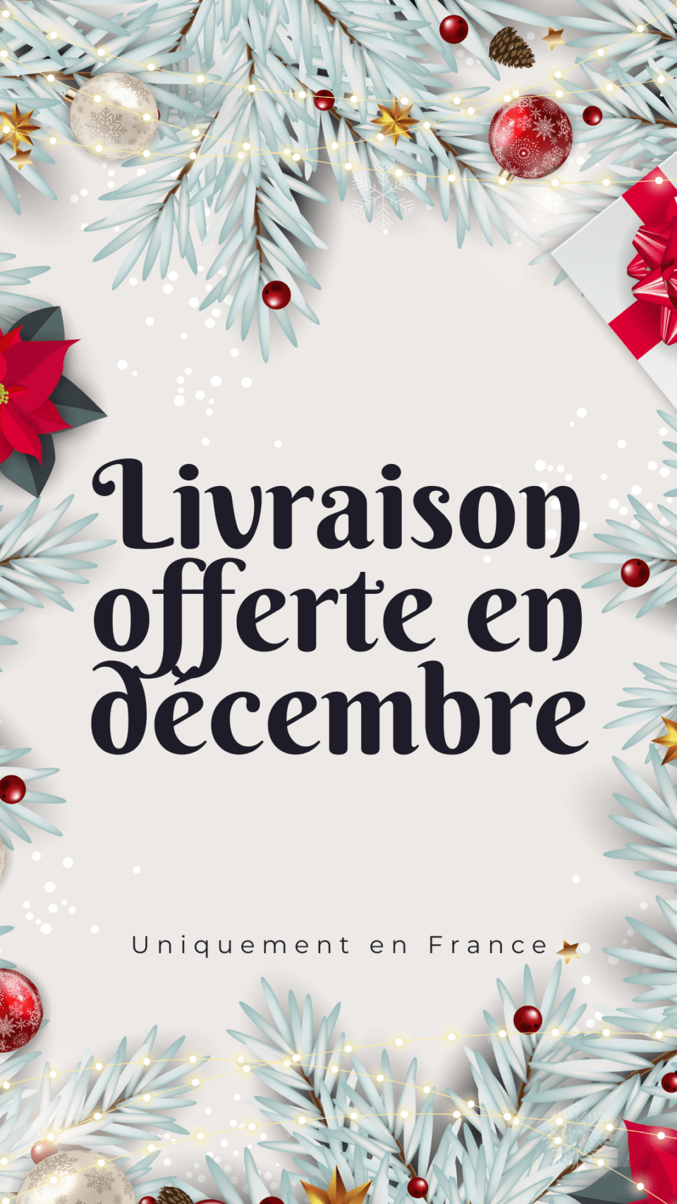 livraison offerte jusqu’a noel
